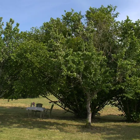 Ferienhaus Perigourdine Avec Et Vue *