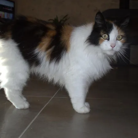 Périgourdine Avec Et Vue Casa vacanze Pomport