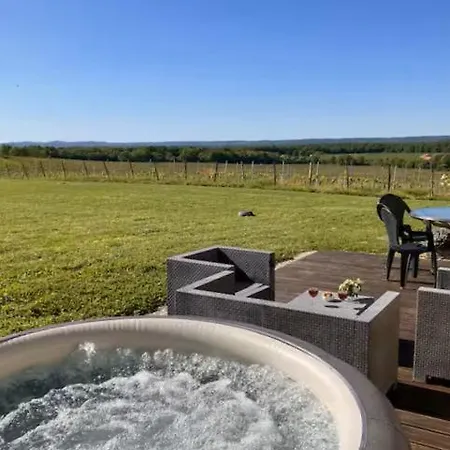 Dom wakacyjny Perigourdine Avec Et Vue *