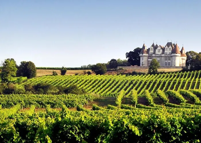 Périgourdine Avec Et Vue *